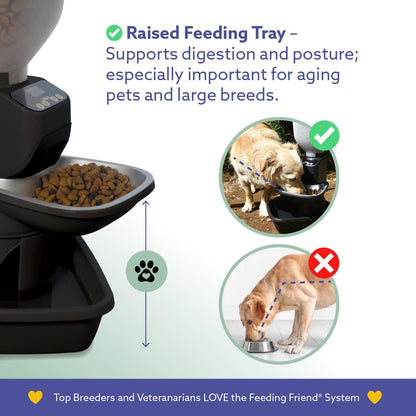 Smart Auto Pet Feeder & Water Station – Portion Control, Anti‑Jam, OLED Display